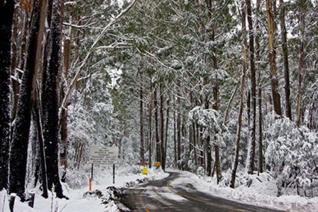 Marysville Holiday Park Exterior photo